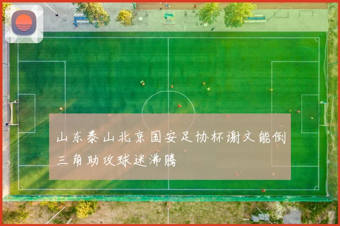 山东泰山北京国安足协杯谢文能倒三角助攻球迷沸腾