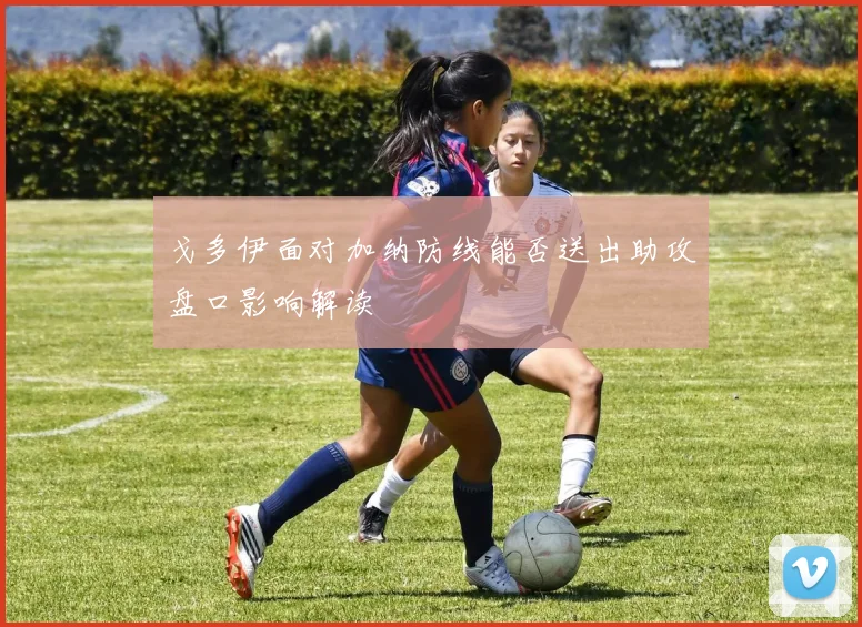戈多伊面对加纳防线能否送出助攻盘口影响解读