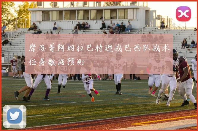 摩洛哥阿姆拉巴特迎战巴西队战术任务数据预测