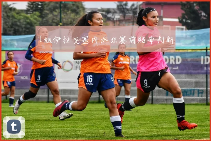 I组伊拉克塞内加尔赛前赔率判断