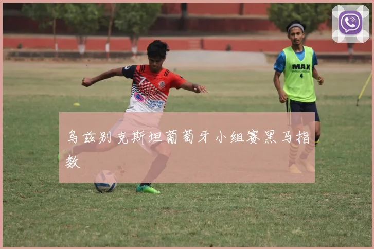 乌兹别克斯坦葡萄牙小组赛黑马指数