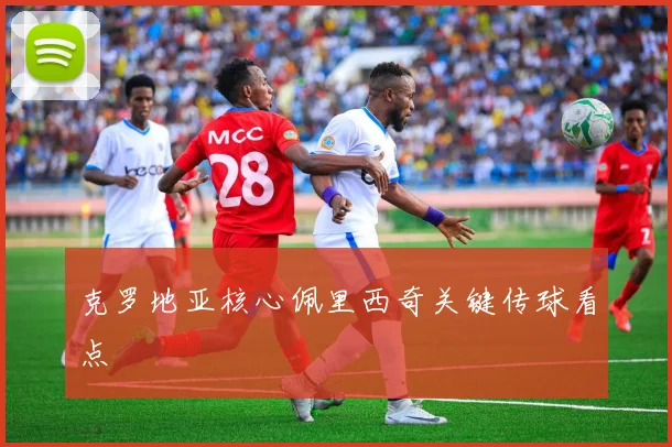 克罗地亚核心佩里西奇关键传球看点