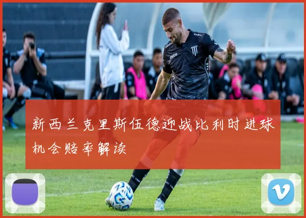 新西兰克里斯伍德迎战比利时进球机会赔率解读