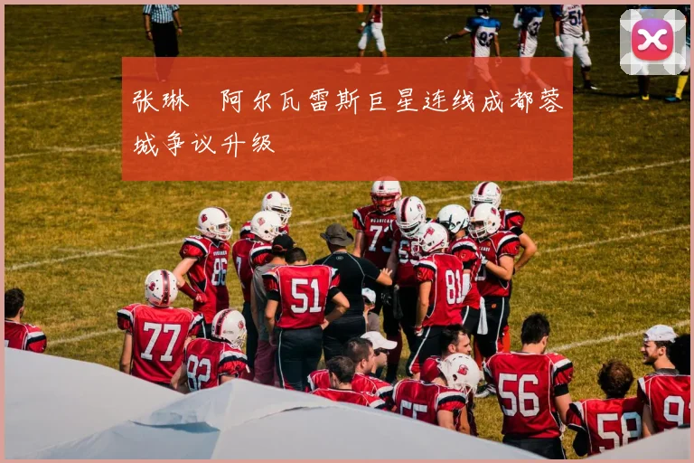 张琳芃阿尔瓦雷斯巨星连线成都蓉城争议升级