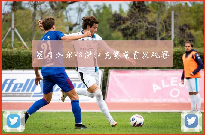 塞内加尔vs伊拉克赛前首发观察