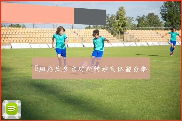 E组厄瓜多尔对科特迪瓦体能分配