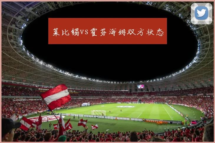 莱比锡vs霍芬海姆双方状态
